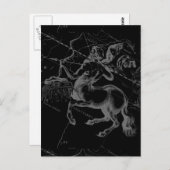 Sagittarius Constellation Classy Hevelius Engaving Postkarte (Vorne/Hinten)
