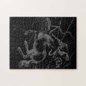 Sagittarius Constellation Classy Hevelius Engaving Puzzle (Horizontal)