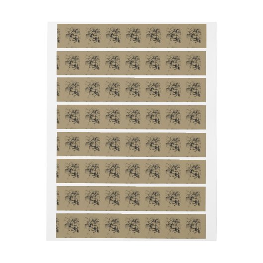 Sagittarius Constellation Hevelius 1690 Gravur (Bogen)