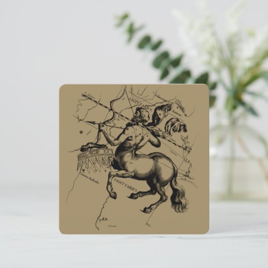 Sagittarius Constellation Hevelius 1690 Gravur (Stehend Vorderseite)