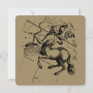 Sagittarius Constellation Hevelius 1690 Gravur