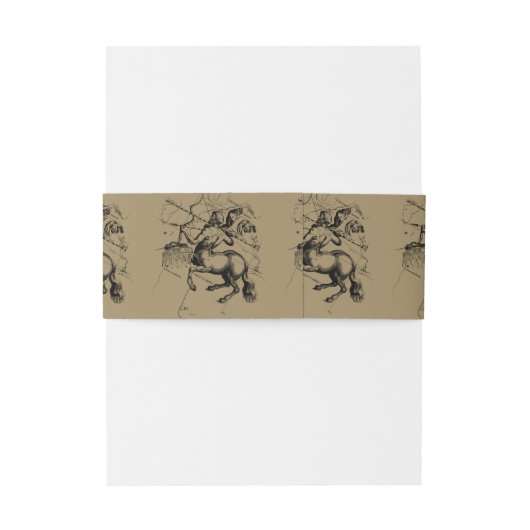 Sagittarius Constellation Hevelius 1690 Gravur Einladungsbanderole (Rückseitenbeispiel)