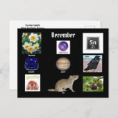 Sagittarius Dezember Geburtsmonat POSTCARD Postkarte (Vorne/Hinten)