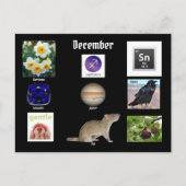 Sagittarius Dezember Geburtsmonat POSTCARD Postkarte (Vorderseite)