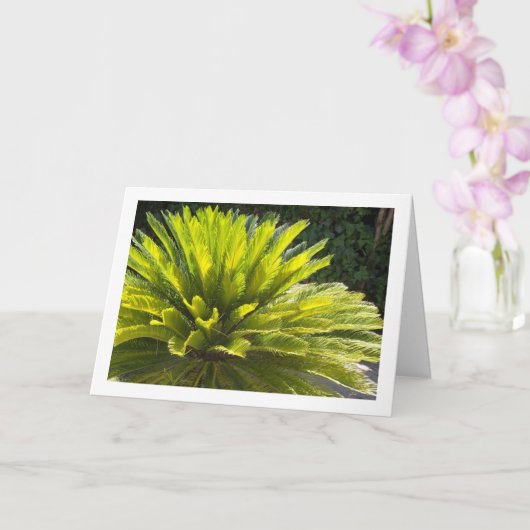 Sago Palm Pflanze Karte (Orchidee)
