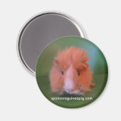 SAGP-Magnet Magnet (Vorderseite/Rückseite)