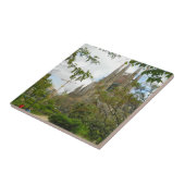 Sagrada Família, Barcelona Fliese (Seite)