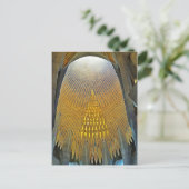 Sagrada Familia. Innenseite. Ansicht 14. Postkarte (Stehend Vorderseite)