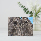 Sagrada Familia, Krippenfassade - Barcelona Foto Postkarte (Stehend Vorderseite)