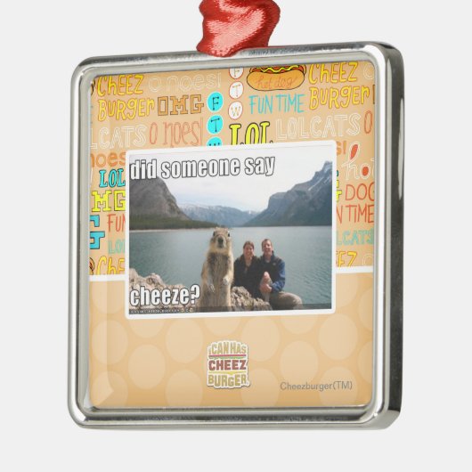 Sagte jemand cheeze? silbernes ornament (Links)