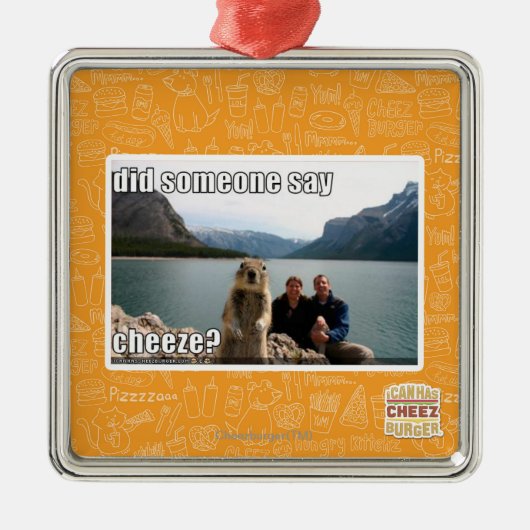 Sagte jemand cheeze? silbernes ornament (Vorne)