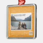 Sagte jemand cheeze? silbernes ornament (Links)