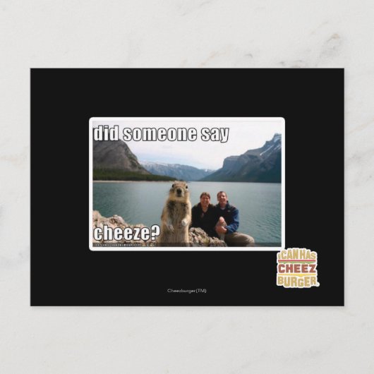 Sagte jemand zu betrügen? postkarte (Vorderseite)