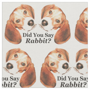 Sagten Sie Kaninchen? Beagle-Gewebe, zum ungefähr Stoff