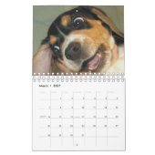 Sagten Sie Kaninchen? Beagle-Kalender Kalender (Mär 2027)