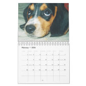 Sagten Sie Kaninchen? Beagle-Kalender Kalender (Feb 2026)