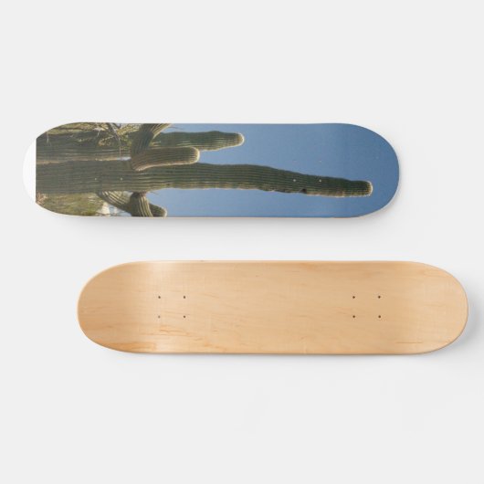 Saguara Kaktus-Skatebrett Skateboard (Horizontal)