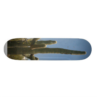 Saguara Kaktus-Skatebrett Skateboard