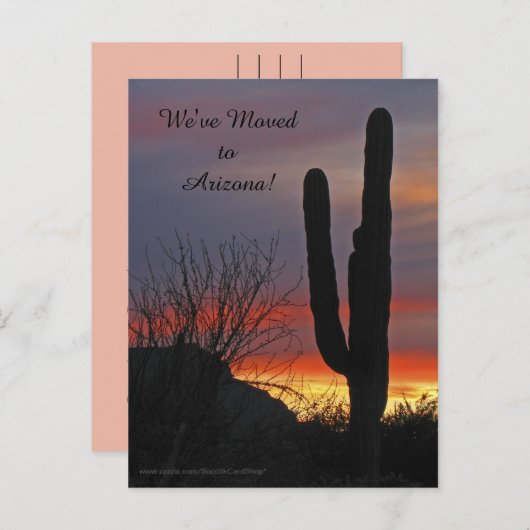 Saguaro bei Sunset, neue Ankündigung (Vorne/Hinten)