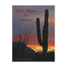 Saguaro bei Sunset, neue Ankündigung