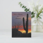 Saguaro bei Sunset, neue Ankündigung (Stehend Vorderseite)