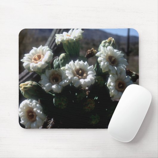 Saguaro Blossoms Mousepad (Mit Mouse)
