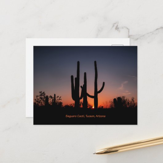 Saguaro Cacti bei Sonnenuntergang Postkarte (Vorderseite/Rückseite Beispiel)