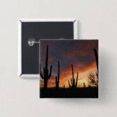 Saguaro cacti, Carnegiea gigantea, nach Button (Vorne & Hinten)