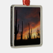 Saguaro cacti, Carnegiea gigantea, nach Silbernes Ornament (Rechts)