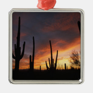 Saguaro cacti, Carnegiea gigantea, nach Silbernes Ornament