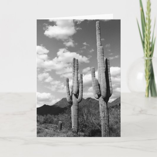 Saguaro Cacti Sonoran Desert Foto Grußkarten Karte (Vorderseite)
