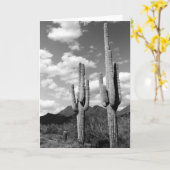 Saguaro Cacti Sonoran Desert Foto Grußkarten Karte (Gelbe Blume)