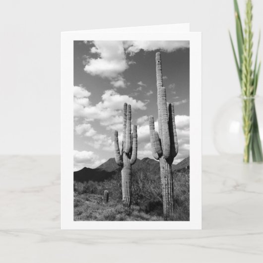 Saguaro Cacti Sonoran Desert Foto Grußkarten Karte (Vorderseite)