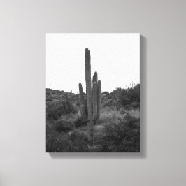 Saguaro Cactus 11x14 Leinwanddruck