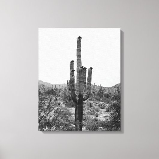 Saguaro Cactus 16x20 Leinwanddruck (Vorderseite)