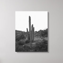 Saguaro Cactus 16x20 Leinwanddruck