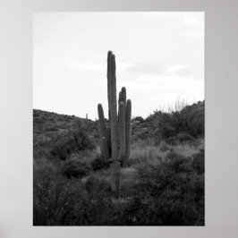 Saguaro Cactus 16x20 Poster