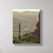 Saguaro Cactus Apache Junction & Pheonix AZ 8 x 10 Leinwanddruck (Vorderseite)
