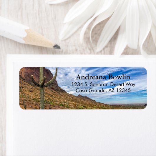 Saguaro Cactus Arizona Blauer Himmel Dramatische W (Insitu)