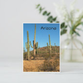 Saguaro cactus, Arizona - Postkarte (Stehend Vorderseite)
