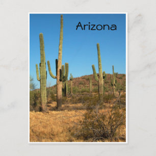 Saguaro cactus, Arizona - Postkarte