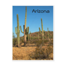 Saguaro cactus, Arizona - Postkarte
