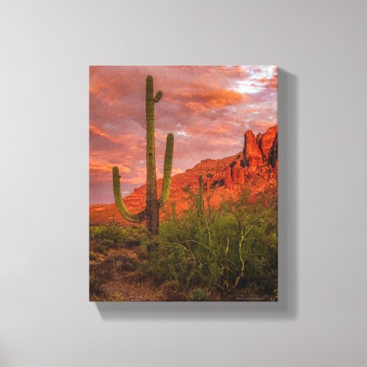 Saguaro Cactus Arizona Sunset Terracotta Red 11x14 Leinwanddruck (Vorderseite)