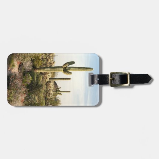 Saguaro Cactus, Arizona, USA Gepäckanhänger (Vorderseite horizontal)