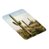 Saguaro Cactus, Arizona, USA Magnet (Rechte Seite)
