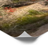 Saguaro Cactus, Arizona, USA Poster (Ecke)