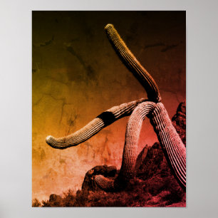 Saguaro Cactus Art Fotografy in Rustic Style Poster