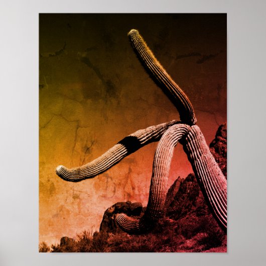 Saguaro Cactus Art Fotografy in Rustic Style Poster (Vorne)