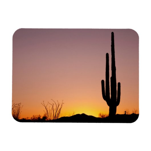 Saguaro Cactus at Sunset Magnet (Horizontal)