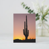 Saguaro Cactus at Sunset Postkarte (Stehend Vorderseite)